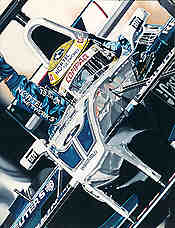 Hockenheim Hero, Ralf Schumacher Williams BMW F1 Kunstdruck von Colin Carter