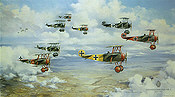 Richthofens Flying Circus 1918, Fokker DR I Jasta 6 and 11 aviation art by Friedl Wuelfing
