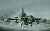 Second to None, Tornado GR1A der RAF Luftfahrt-Kunstdruck von Michael Rondot