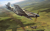 Dual Victory, P-51D Mustang Luftfahrtkunst von Richard Taylor