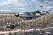 Luftwaffe Tornado IDS JaboG 31 Boelcke Kunstdruck von Ronald Wong