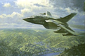 Jagdbombergeschwader 33 Luftwaffe Tornado Luftfahrt-Kunstdruck von Ronald Wong