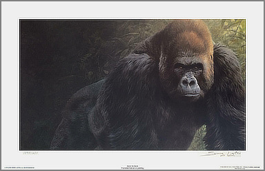 Face to Face - Gorilla Wildlife Art by John Seerey-Lester