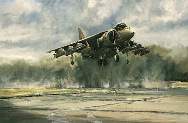 Gauntlet, Harrier II aviation art print by Michael Rondot