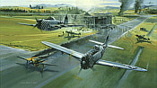 Morning Thunder, P-47 Thunderbolt aviation art print by Robert Bailey